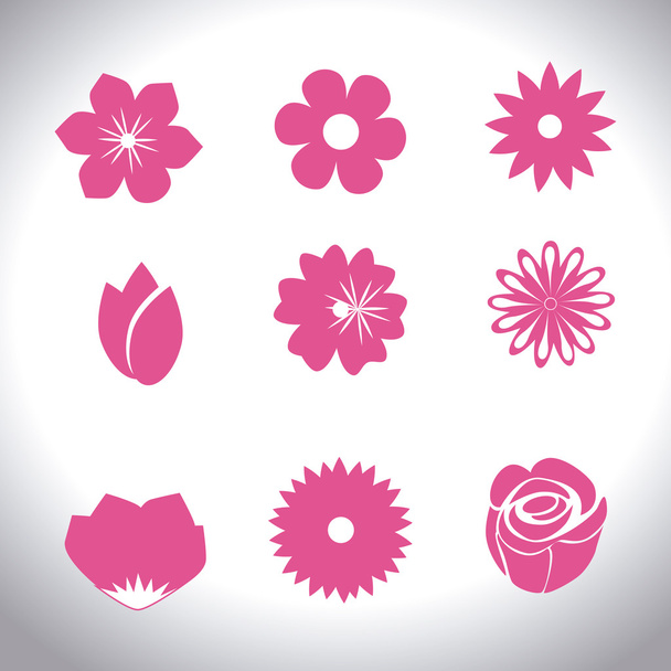 Flowers design, vector illustration. - Vector, Image