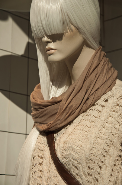 Mannequin winter fashion in a showroom - Фото, зображення