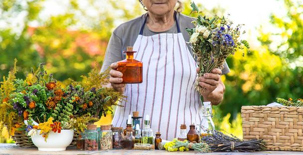 Grandmother makes tinctures from medicinal herbs. Selective focus. People. - Photo, Image