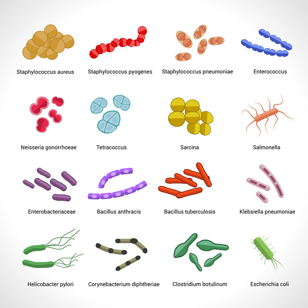 Bacteria icons set - Vector, Image