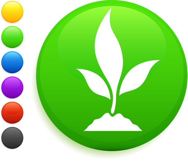 plant icon on round internet button - Vektor, obrázek