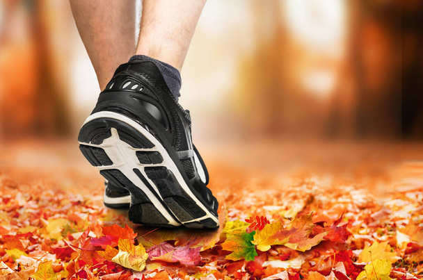 Legs of a jogger in shoes close-up in autumn park with fallen leaves at sunset - Foto, afbeelding