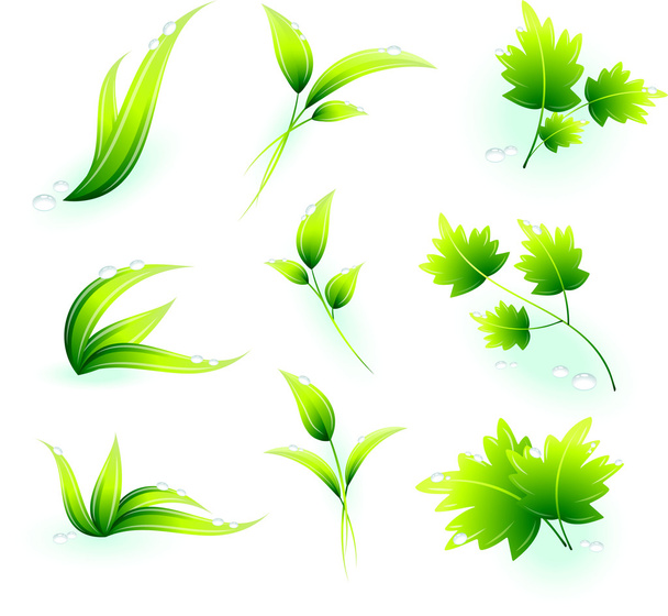foglie verdi - Vettoriali, immagini