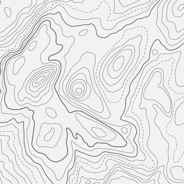 Абстрактный белый фон с топографическим силуэтом карты - Вектор,изображение