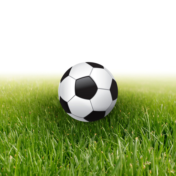 Soccer ball in green grass - Foto, afbeelding