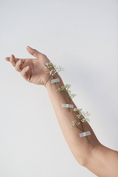 We are like plants and grow each day. plants taped to an unrecognizable persons raised arm - Foto, imagen