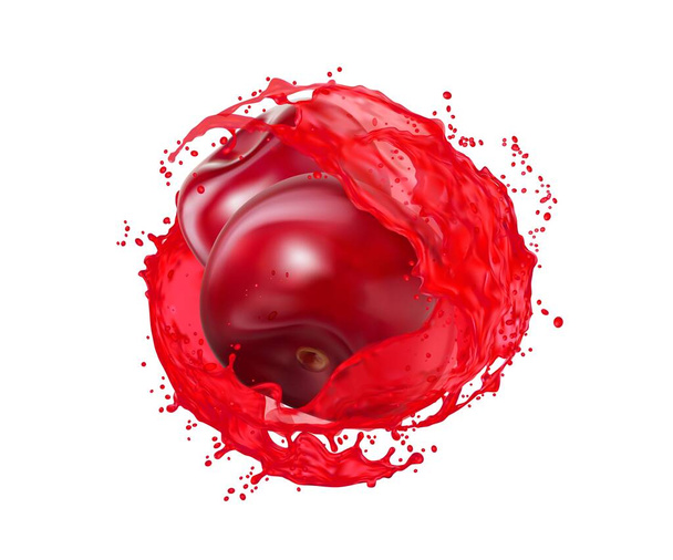 Ripe raw cherry with juice splash. Vitamin juice swirl or whirl with splatters or juicy cherry drink realistic vector spill flow. Isolated fresh summer berry beverage splash with falling droplets - Вектор, зображення
