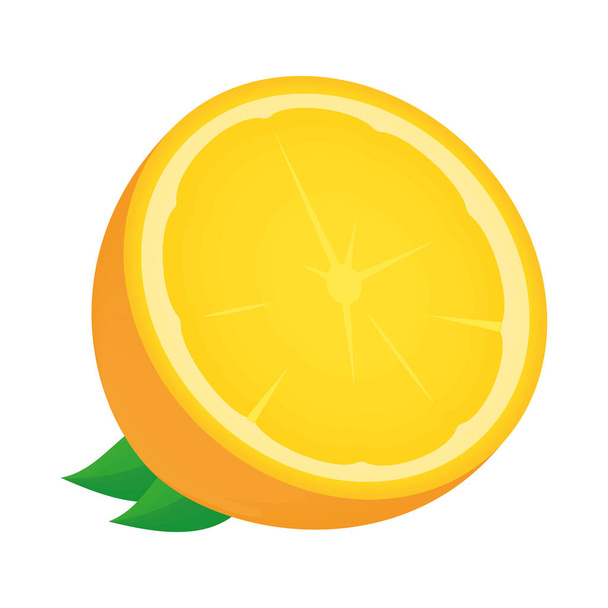 half orange food icon isolated - Vektor, obrázek