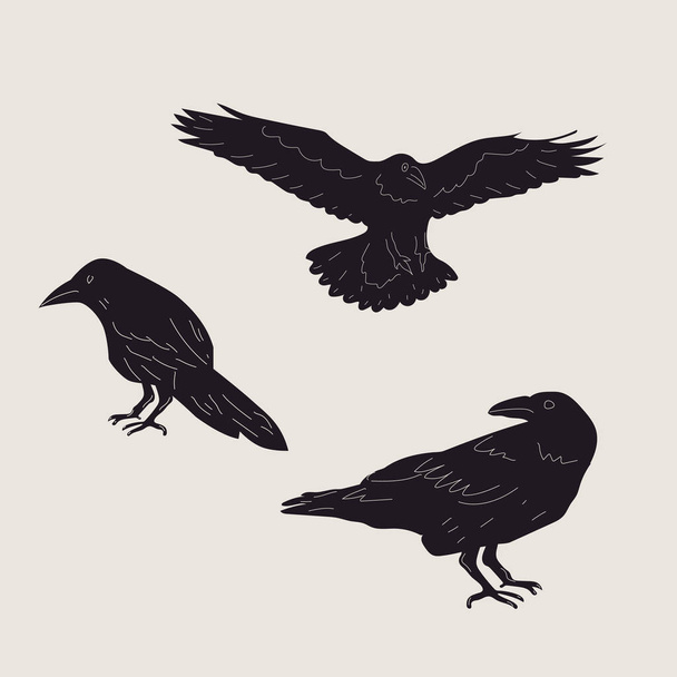 Set of black Raven or Crow birds. Different poses. Cartoon style, flat design. Halloween, horror concept. Hand drawn trendy Vector illustration. Every bird is isolated - Vektör, Görsel