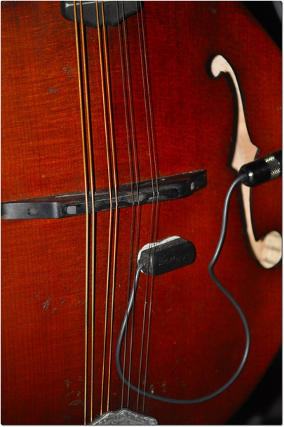 Strings - Fotografie, Obrázek