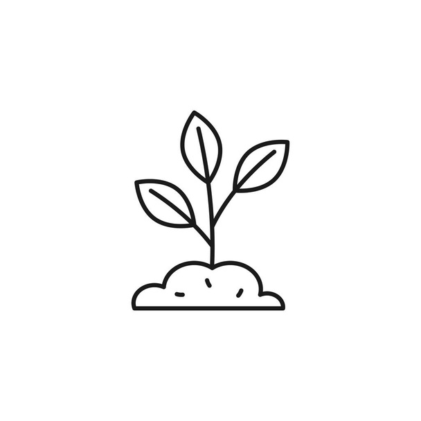 Экология растительных линий иконок дизайн шаблона векторной иллюстрации - Вектор,изображение
