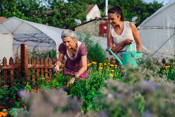 Mother and daughter gardening together.Gardening discovering and teaching. - Foto, afbeelding