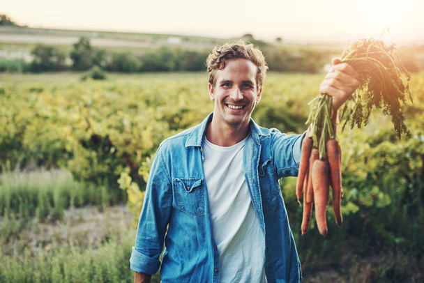 Вот что создала моя тяжелая работа. Обрезанный портрет красивого молодого человека, держащего кучу моркови и улыбающегося со своей фермой на заднем плане - Фото, изображение