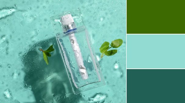 Bottle of perfume and mint with water drops on turquoise background. Different color patterns - Photo, image