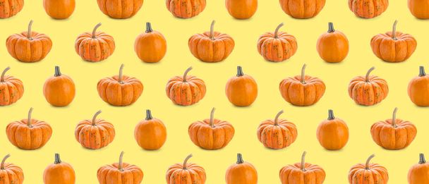 Many pumpkins on yellow background. Pattern for design - Foto, afbeelding