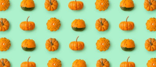 Many pumpkins on turquoise background. Pattern for design - Fotoğraf, Görsel