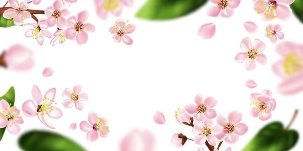 Fruit tree branch frame with white flowers realistic vector illustration - Vecteur, image