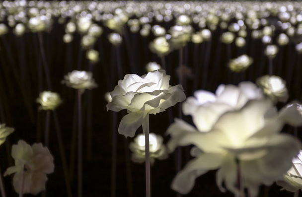 Jardim de flores LED
 - Foto, Imagem