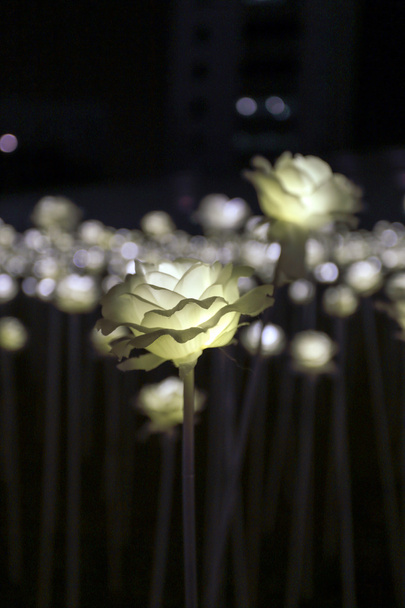 Jardín de flores led
 - Foto, imagen