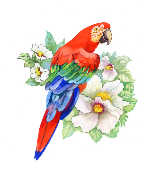 Parrot on flowers - Fotoğraf, Görsel