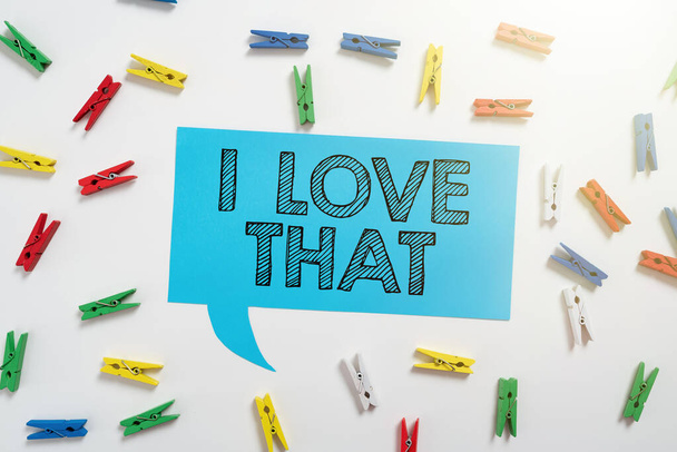 Text caption presenting I Love That, Business approach Having affection for something or someone Romantic feelings Colorful Pegs Placed Around Speech Bubble With Important Information. - 写真・画像