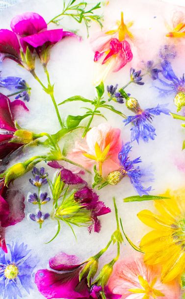 Fondo de verano de flores congeladas en hielo, acianos y geranios, osteosperio y lavanda y clavel - Foto, Imagen