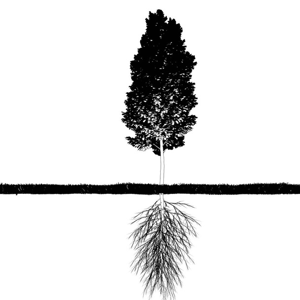 tree root system, sketch, outline - Fotó, kép
