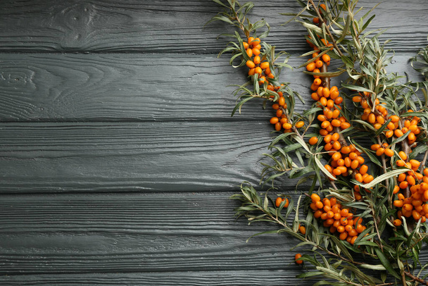 Branches of sea buckthorn on grey wooden table, flat lay. Space for text - Φωτογραφία, εικόνα