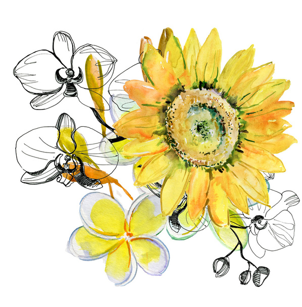 Yellow sunflower - Foto, afbeelding
