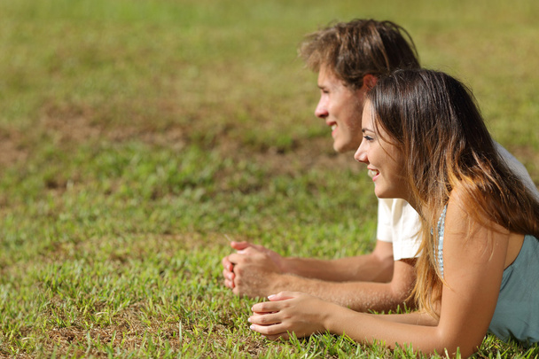 Couple lying on the grass and looking away - Foto, Imagen