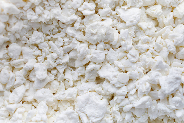 White cottage cheese. Grainy cheese close-up - Фото, зображення