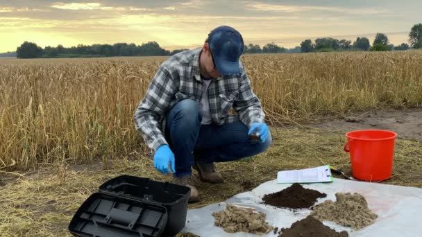 Agronomy specialist performing experiment outdoors, determining soil pH value acidity. Professional farmer adding reagent to glass beaker with soil sample, examining test at agricultural field at dawn - Video