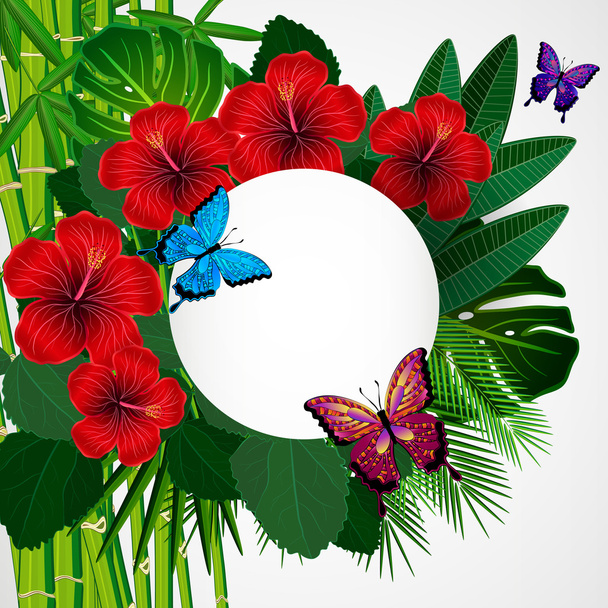 Tropical floral design background with butterflies. - Vektor, kép