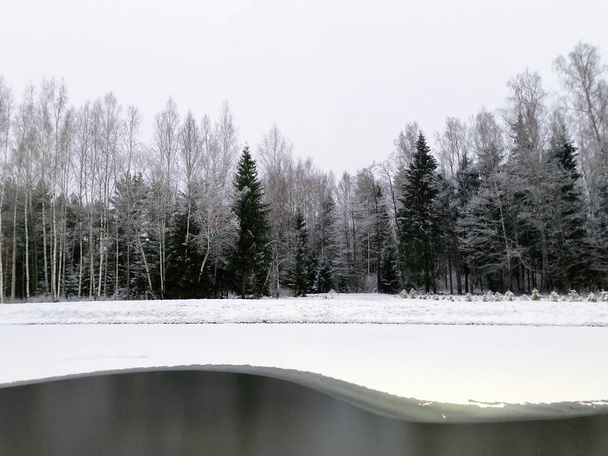 Winter forest in December on Christmas - Valokuva, kuva
