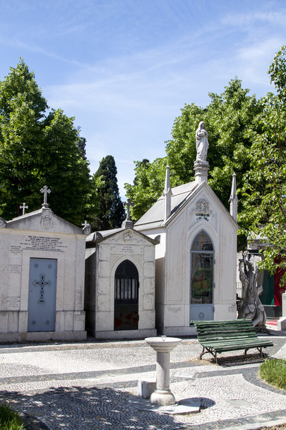 有名なポルトガルの墓地 Prazeres からセクション - 写真・画像