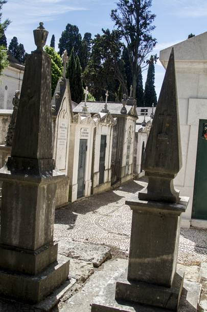 секція з знаменитого португальського цвинтаря Prazeres
 - Фото, зображення