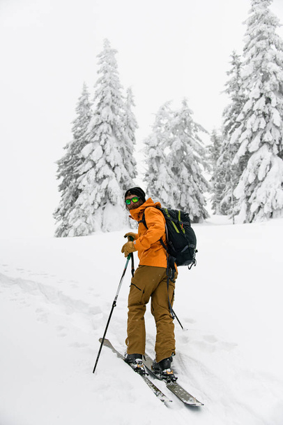 skier with backpack walking on ski on snowy trail. Snow-capped fir trees on background. Ski touring. - Foto, imagen