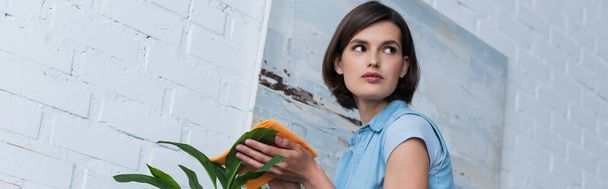 low angle view of woman looking away while cleaning green plant at home, banner - Foto, Imagem
