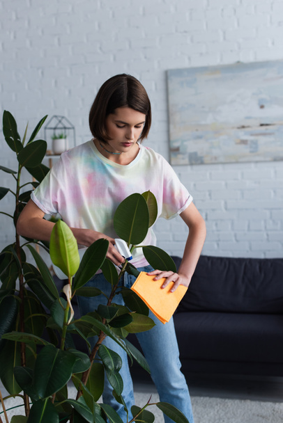 Young woman cleaning plant with rag and detergent in living room  - Foto, Bild
