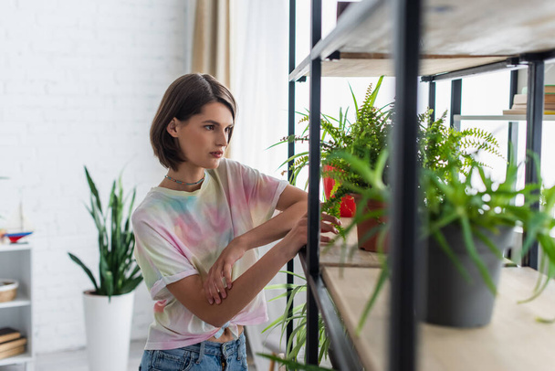 Young woman looking at potted plants on cupboard at home  - Photo, image