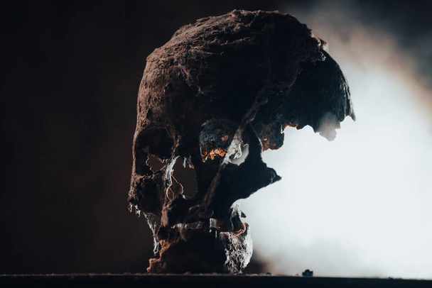 Real human skull in mysterious, foggy light. Spooky, horror wallpaper for Halloween. - Foto, afbeelding