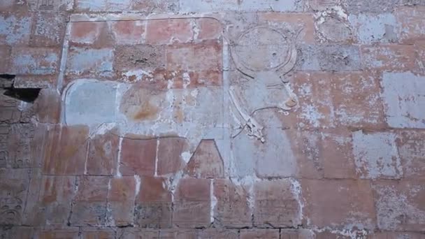 Αρχαίες τοιχογραφίες στο ναό του Χατσεπσούτ, Αίγυπτος - Πλάνα, βίντεο