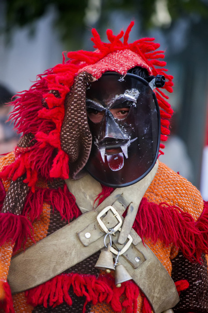 Парад костюмів і традиційних масок
 - Фото, зображення