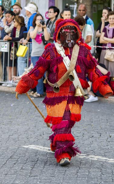 Parade van kostuums en traditionele maskers - Foto, afbeelding