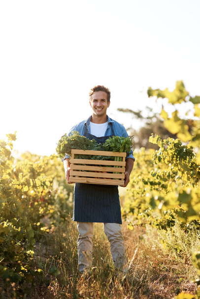 Farming gives you the opportunity to give back. a young man holding a crate full of freshly picked produce on a farm - Фото, изображение