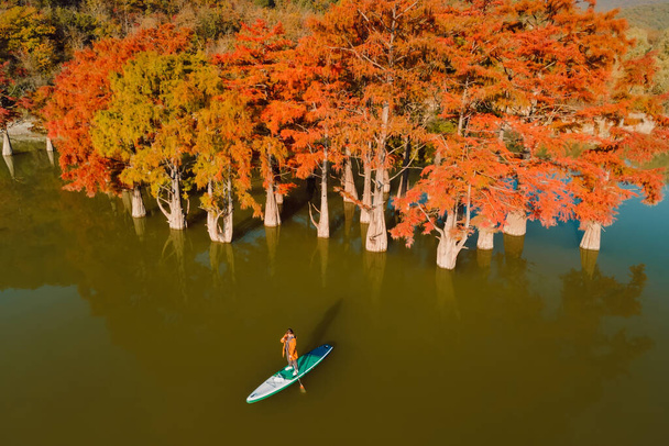 Aerial view with woman on SUP board in the lake with autumnal trees in water - Photo, Image