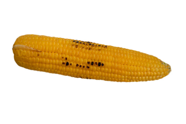 Grilovaná kukuřice izolovaných na bílém pozadí - Fotografie, Obrázek