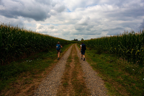 Pilgrims walking next to the corn field along the french road of the way of St. James called Chemin de Saint Jacques du Puy. France - Foto, afbeelding