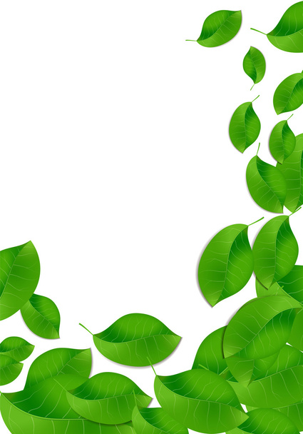 Eco leaves on white background. Vector image - Vector, Image
