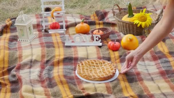 Thanksgiving Day. Pumpkin pie. Pumpkins in a basket and sunflowers lie on a plaid. Picnic. Basket with pumpkins - Záběry, video